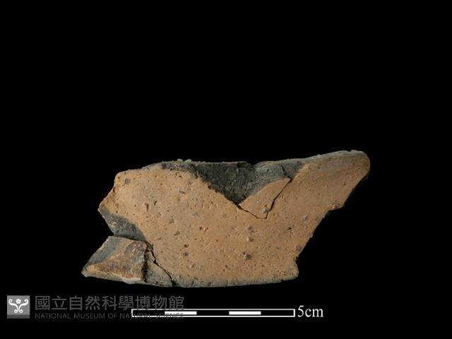 陶片藏品圖，第2張