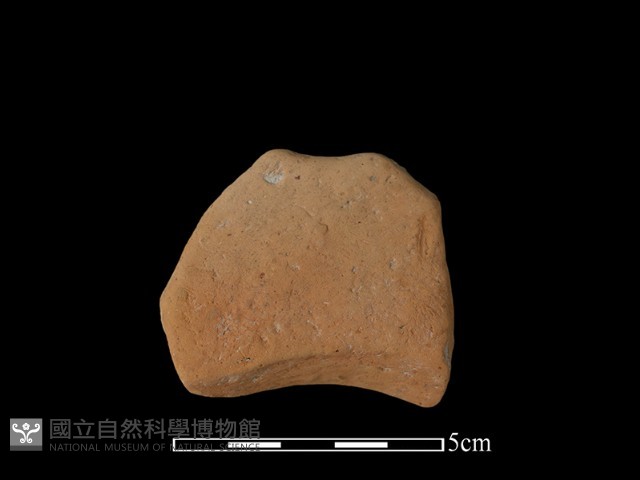 連杯形器藏品圖，第1張