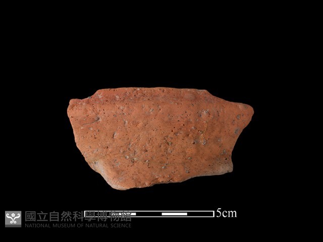 陶罐藏品圖，第1張