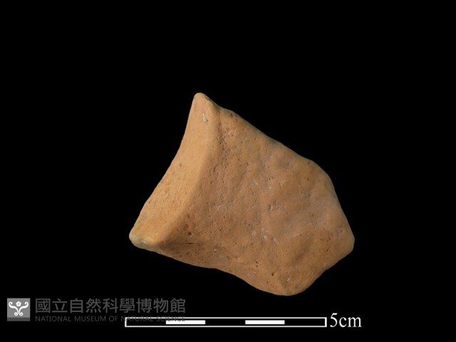 連杯形器藏品圖，第2張