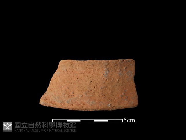 陶片藏品圖，第2張
