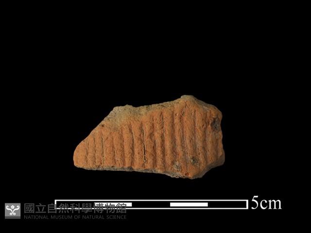 陶片藏品圖，第1張