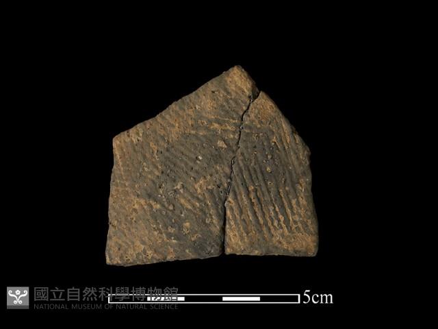 陶片藏品圖，第1張