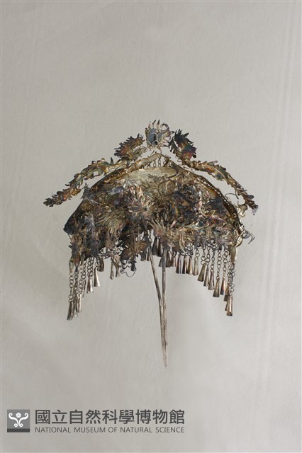 頭花藏品圖，第2張