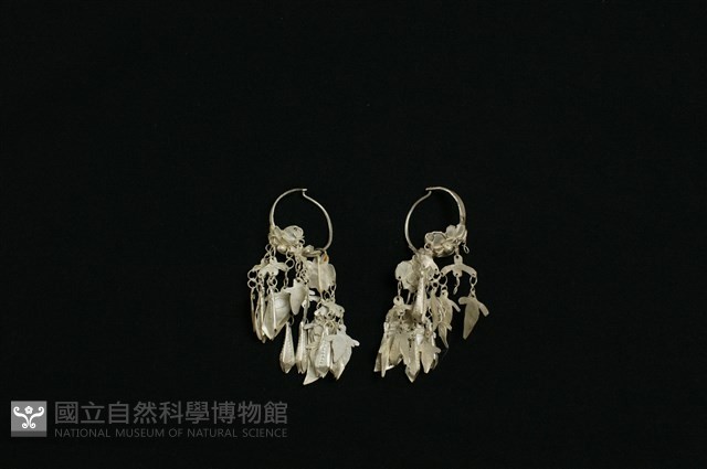 耳環藏品圖，第2張