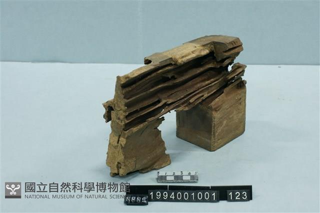 屋宅構件(斗)藏品圖，第2張