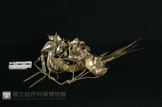 銀頭帽藏品圖，第2張