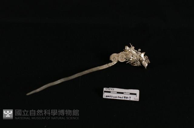 頭花藏品圖，第2張