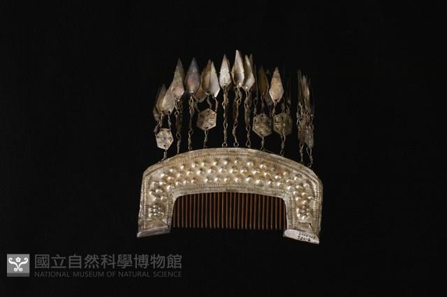 頭花藏品圖，第2張