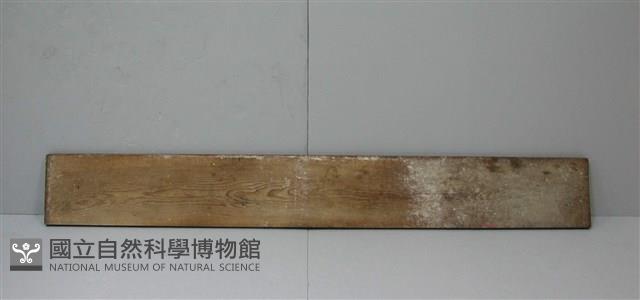 木板藏品圖，第2張