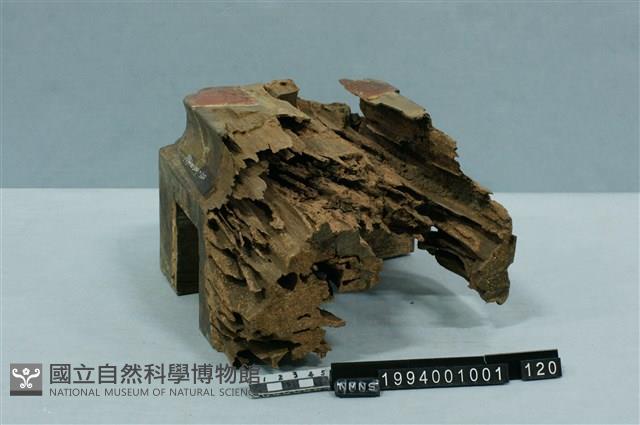 屋宅構件(斗)藏品圖，第2張