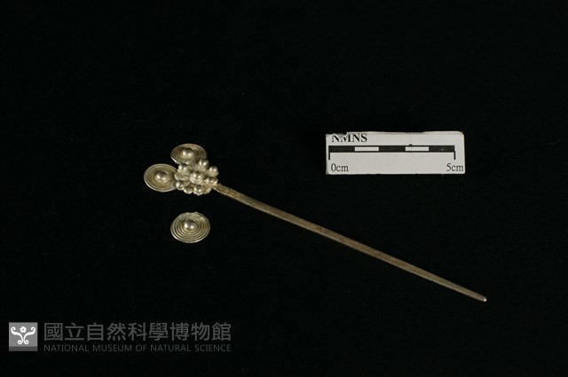 頭花藏品圖，第2張