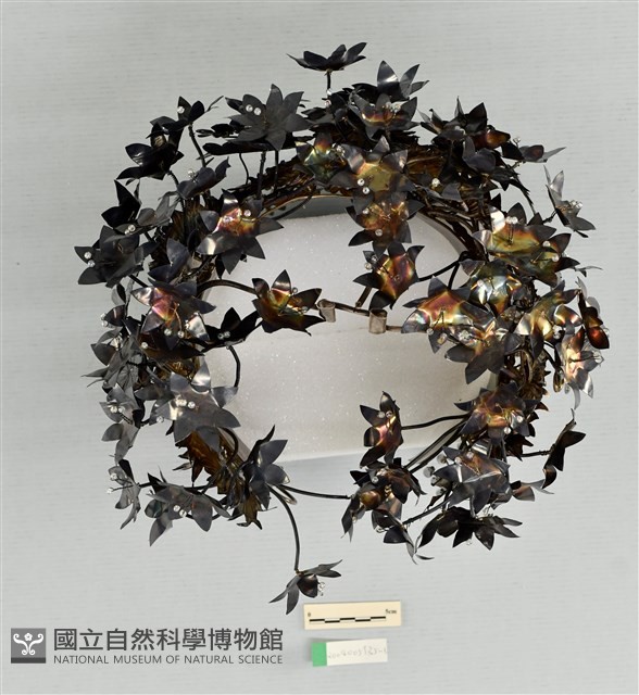 頭花藏品圖，第2張