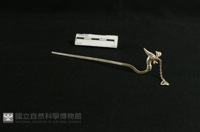 頭花藏品圖，第2張