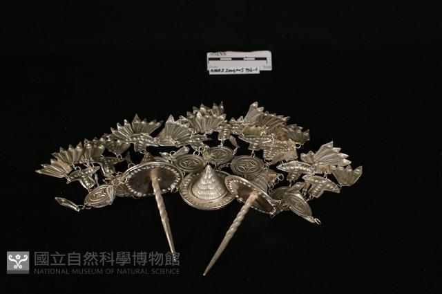 頭花藏品圖，第2張