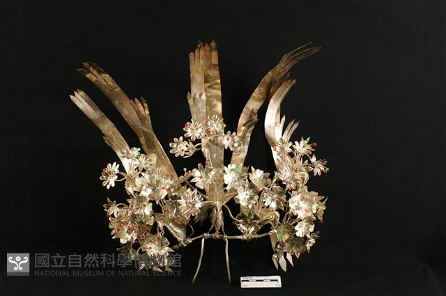 頭花藏品圖，第2張