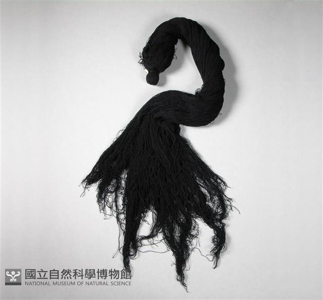 假髮藏品圖，第2張