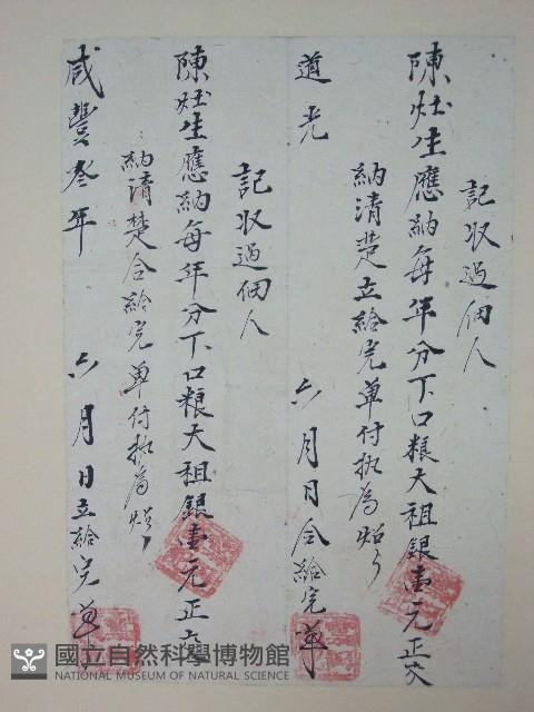 番大租執照藏品圖，第1張