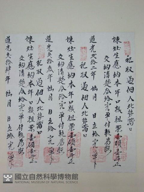 番大租執照藏品圖，第1張