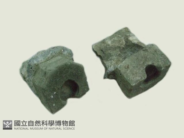 門臼藏品圖，第1張