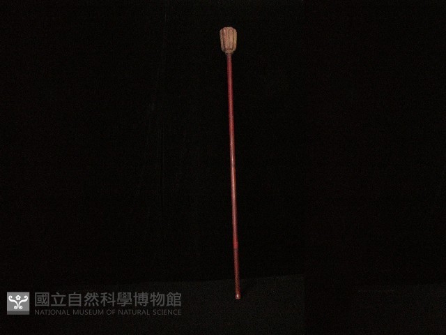 儀仗藏品圖，第1張