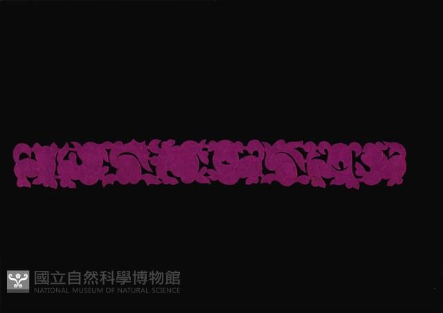 剪紙花藏品圖，第1張