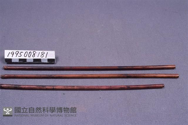 籤支藏品圖，第1張