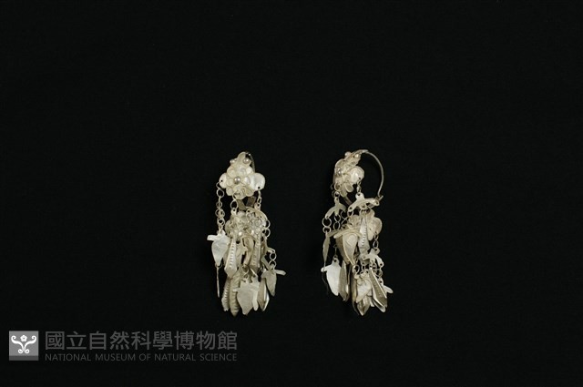 耳環藏品圖，第1張
