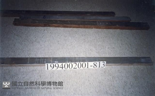 Accession Number:1994002001.0813 Collection Image