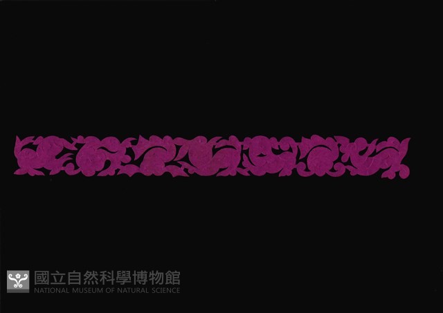 剪紙花藏品圖，第1張