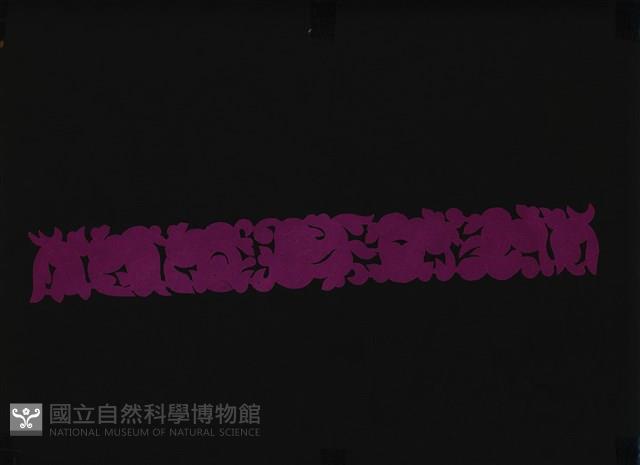 剪紙花藏品圖，第1張