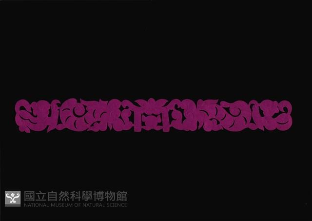 剪紙花藏品圖，第1張