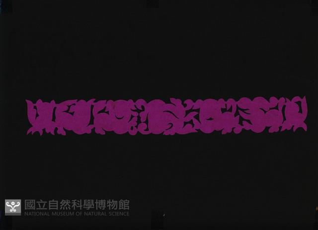 剪紙花藏品圖，第1張