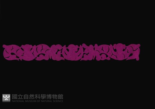 Accession Number:2004001022.0108 Collection Image