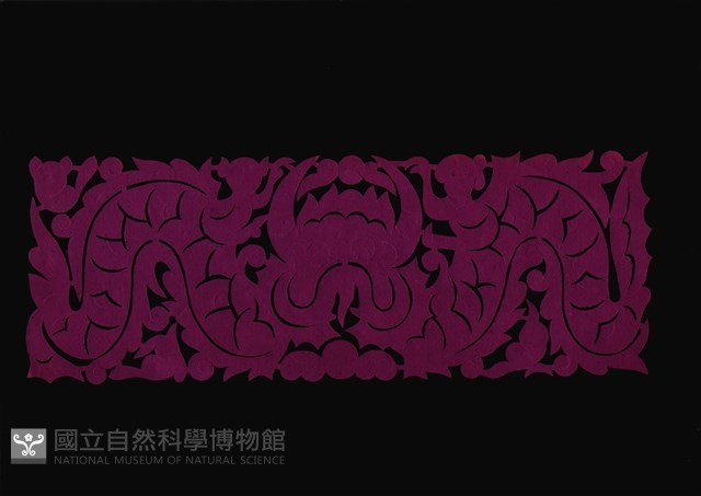 剪紙花藏品圖，第1張