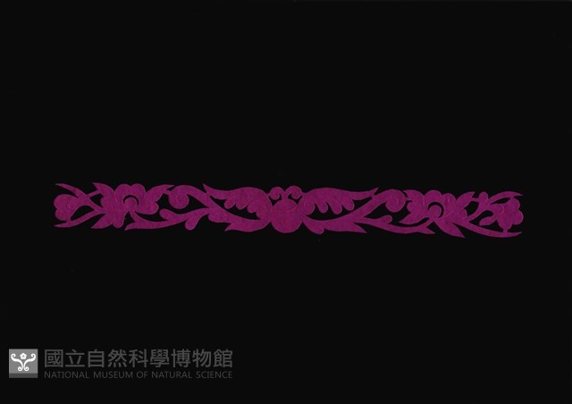 剪紙花藏品圖，第1張