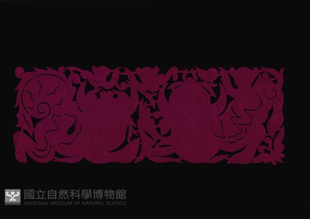 剪紙花藏品圖，第1張