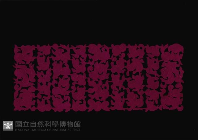 剪紙花藏品圖，第1張