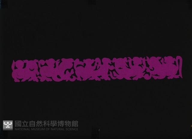 Accession Number:2004001022.0237 Collection Image