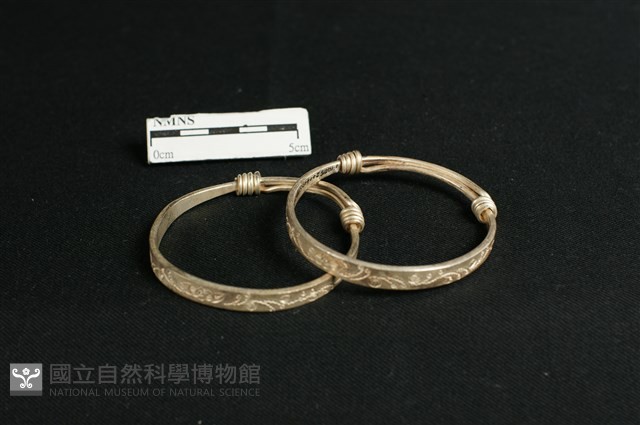 手環藏品圖，第1張