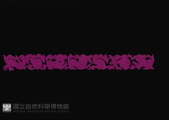 剪紙花藏品圖，第1張