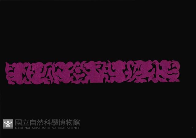 剪紙花藏品圖，第1張