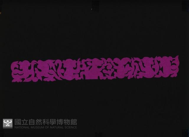 剪紙花藏品圖，第1張