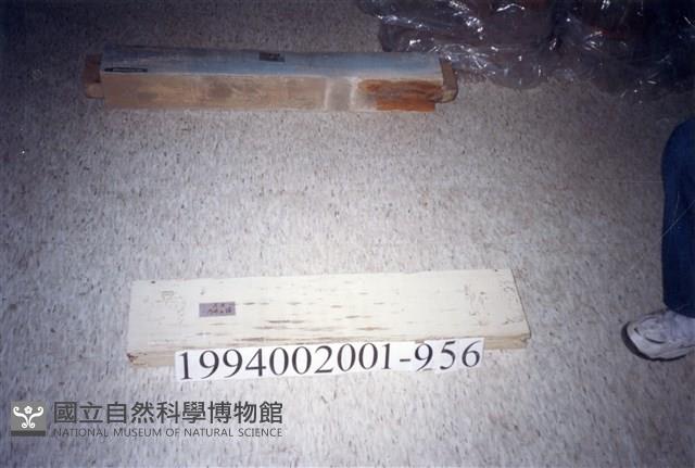 屋宅木構件藏品圖，第1張