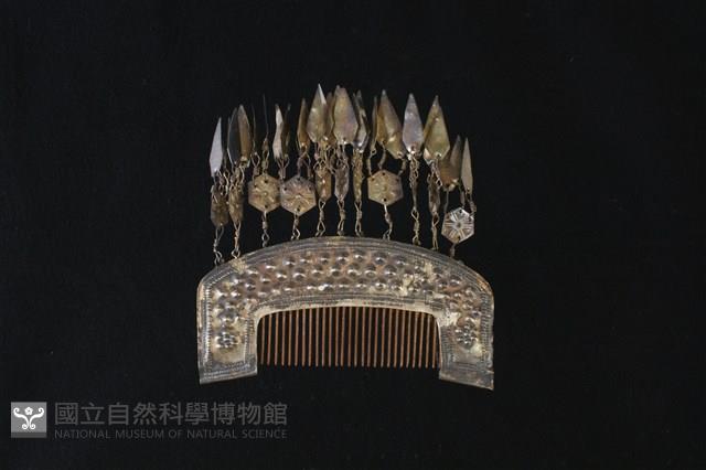 頭花藏品圖，第1張