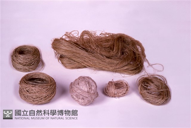 線團藏品圖，第1張