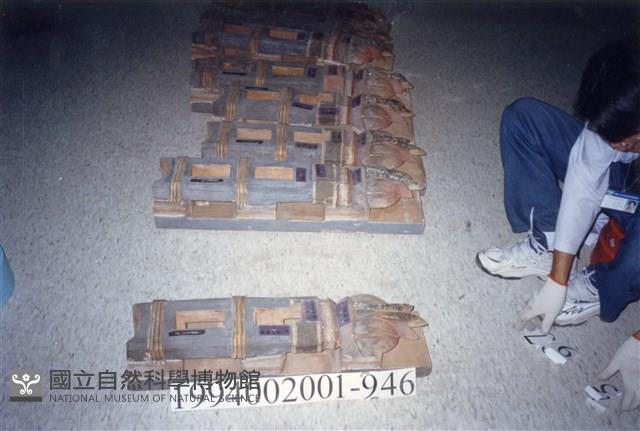 屋宅木構件藏品圖，第1張