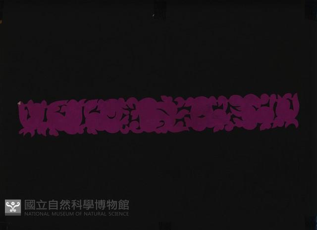 剪紙花藏品圖，第1張