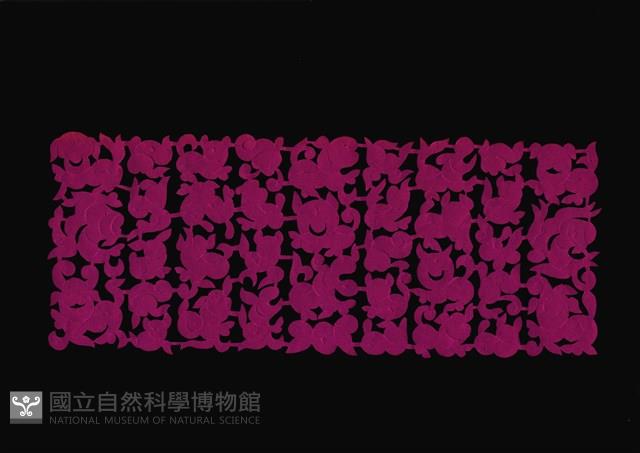 剪紙花藏品圖，第1張