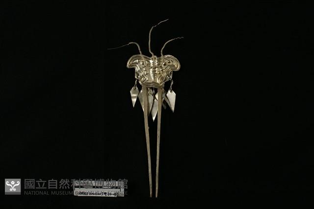 頭花藏品圖，第1張